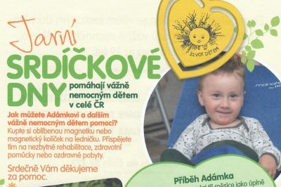 Článek