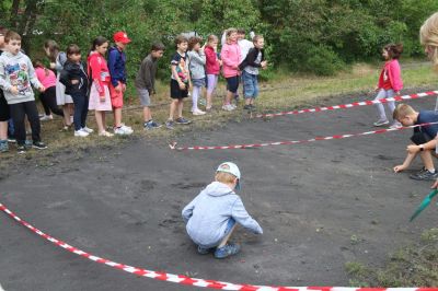 Článek
