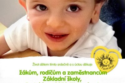 Článek